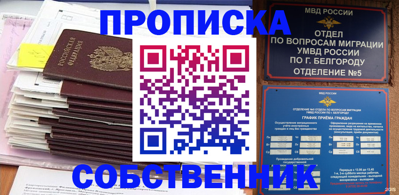 прописка законно в Мытищах